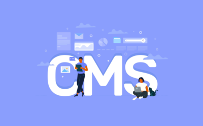 Why should you use WordPress CMS for your Business Website?