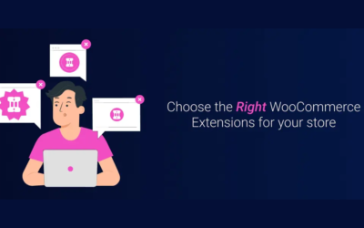 7 Tips to Choose the Right WooCommerce Extensions For Your Store