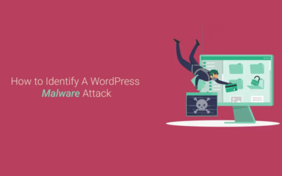 How to Identify A WordPress Malware Attack