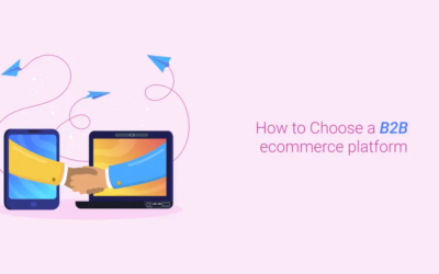 How to Platform Choose a B2B eCommerce